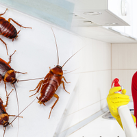 pestcontrol24X7