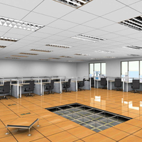 raisedflooring