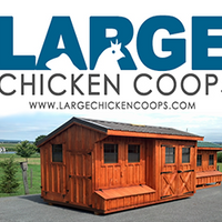 chickencoops0292