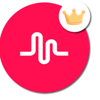 musicallyfansfree