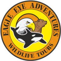 eagleeyeadventures