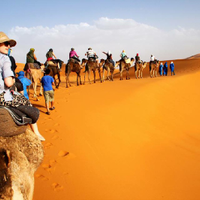 Cameltrek