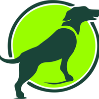 cornerstonedog