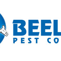 Beelinetexas