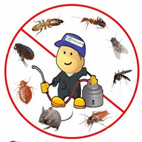 PestVeda