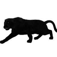 PracticePantherRating