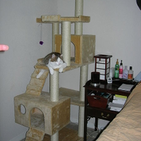 moderncattower