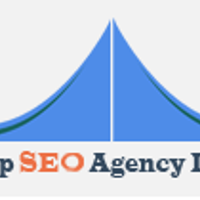 topseoagencyindia