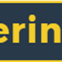 freelancerin