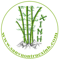 thietkesanvuontrucxinh