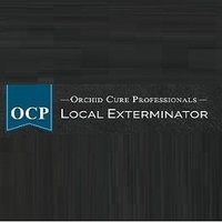Bed_Bug_Exterminator_Phoenix