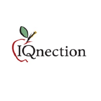 IQnection_Web_Design