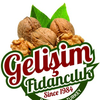 cevizfidani