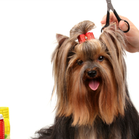 petgrooming