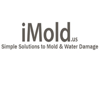 iMold_US_Water_Damage