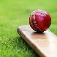 Cricketwebs
