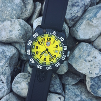 donghodeotaycaocaptissot