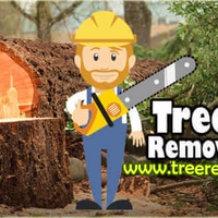 Treetrimmingny