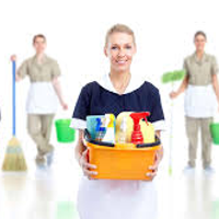 Professional_Cleaners