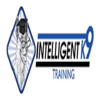 intelligentk9