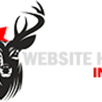 websitehostingca