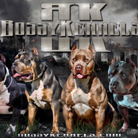 bossykennels
