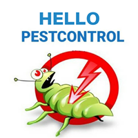 hellopestcontrol