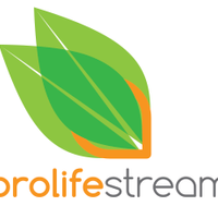 prolifestream