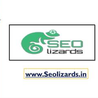 Seolizards