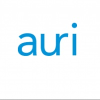 auriconstrucciones