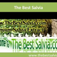 TheBestSalvia1