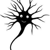 neurococi