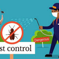 Fallspestcontrol12