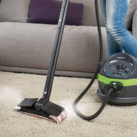 steamcleaner01
