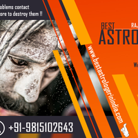 astroraj786