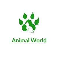 AnimalWorld