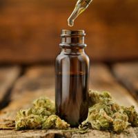 Greenbudhouse