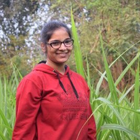Beingbharti