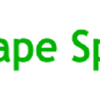 vapespring.com