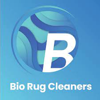 Biorugclean0