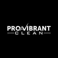 provibrantcleans