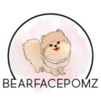 bearfacepomzcom