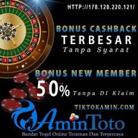 amintoto