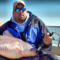 catchcatfish