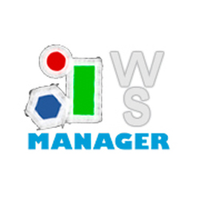 websocialmanager.com