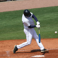 baseballwindscreens