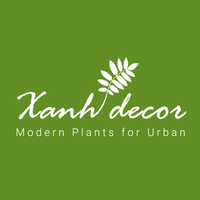 Xanhdecor
