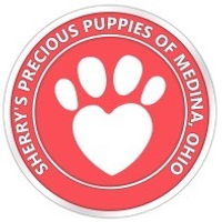 Shih-Poos