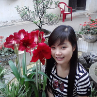 xinhghe