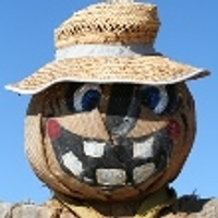 seopumpkin